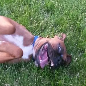 Meet your Posher, Kim